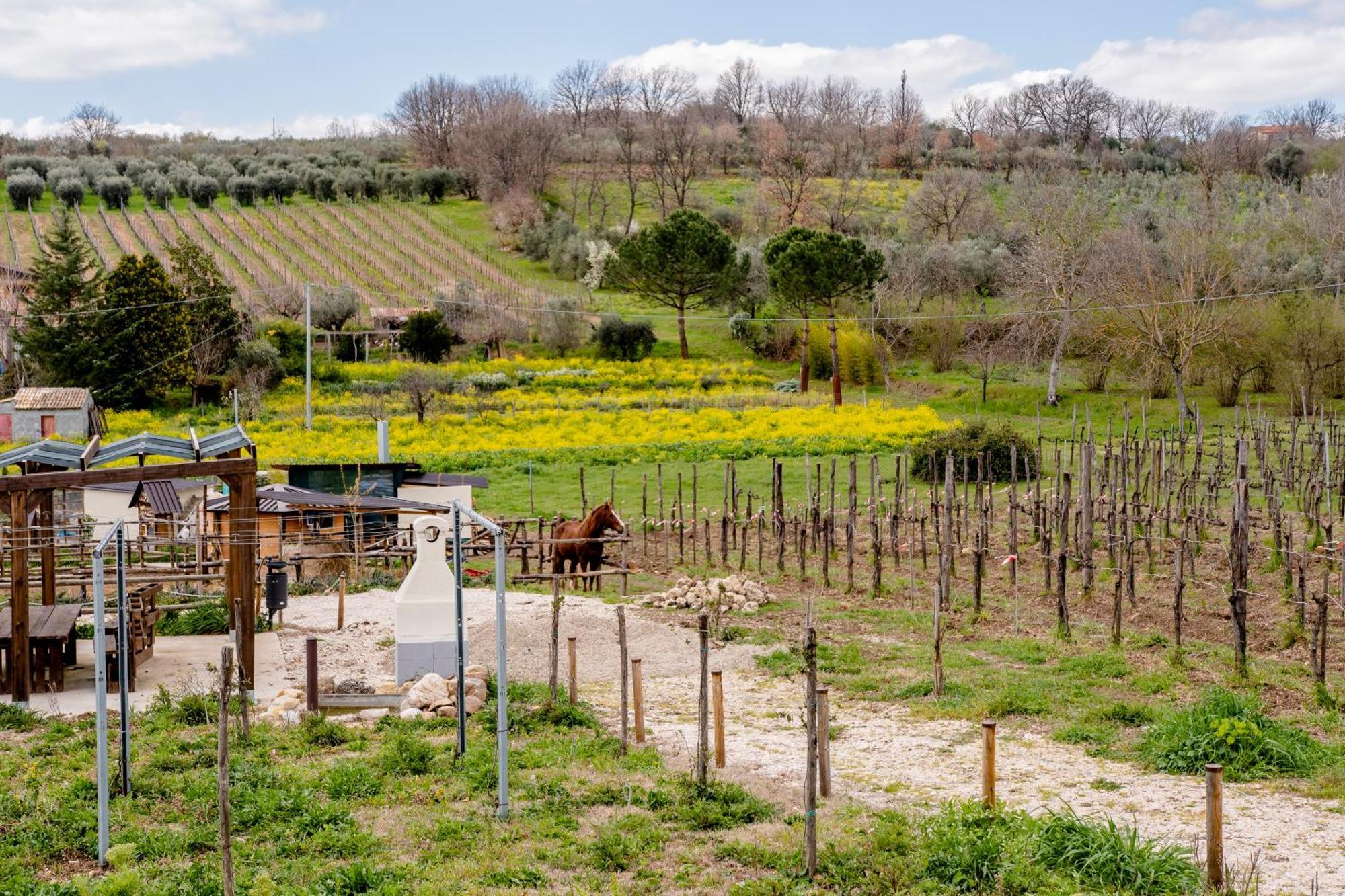 Il Poggio Degli Antichi Sapori Villa Paternopoli Luaran gambar